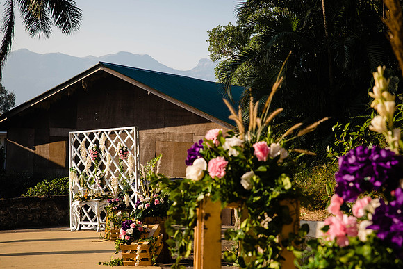 Amby Decor Shots TLF