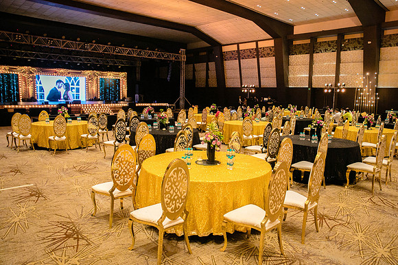 Amby Decor Shots TLF