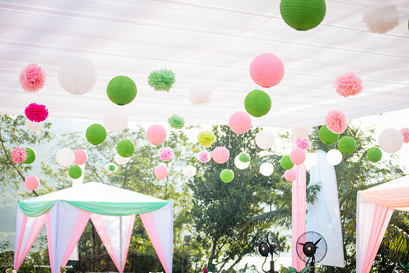 Amby Decor Shots TLF