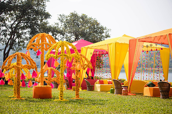 Amby Decor Shots TLF