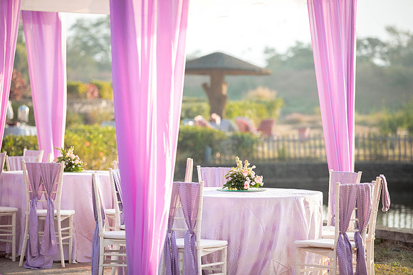 Amby Decor Shots TLF