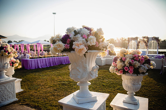 Amby Decor Shots TLF