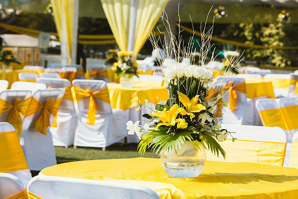 y16