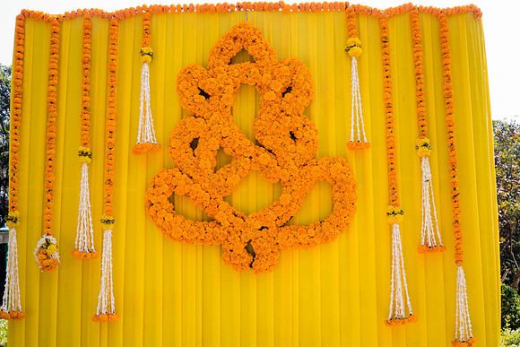Amby Decor Shots TLF
