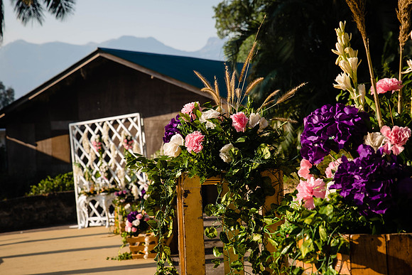 Amby Decor Shots TLF