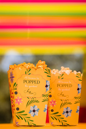 Amby Decor Shots TLF