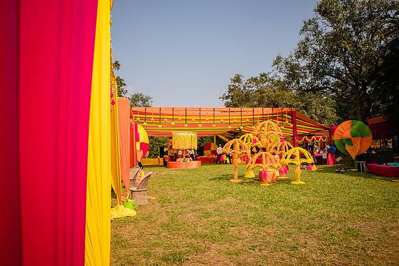 Amby Decor Shots TLF