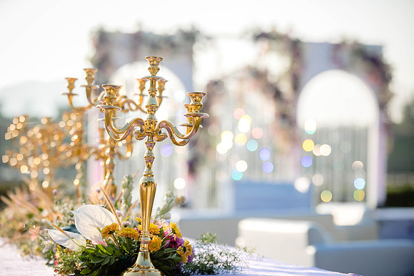 Amby Decor Shots TLF