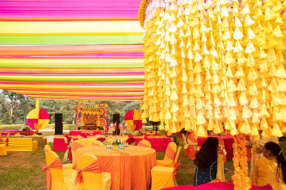 Amby Decor Shots TLF
